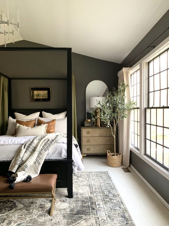 a room filled with lots of windows and a plant in the corner next to it on the floor of a wooden shelves and plants in front of a window with a window filled with plants on top of